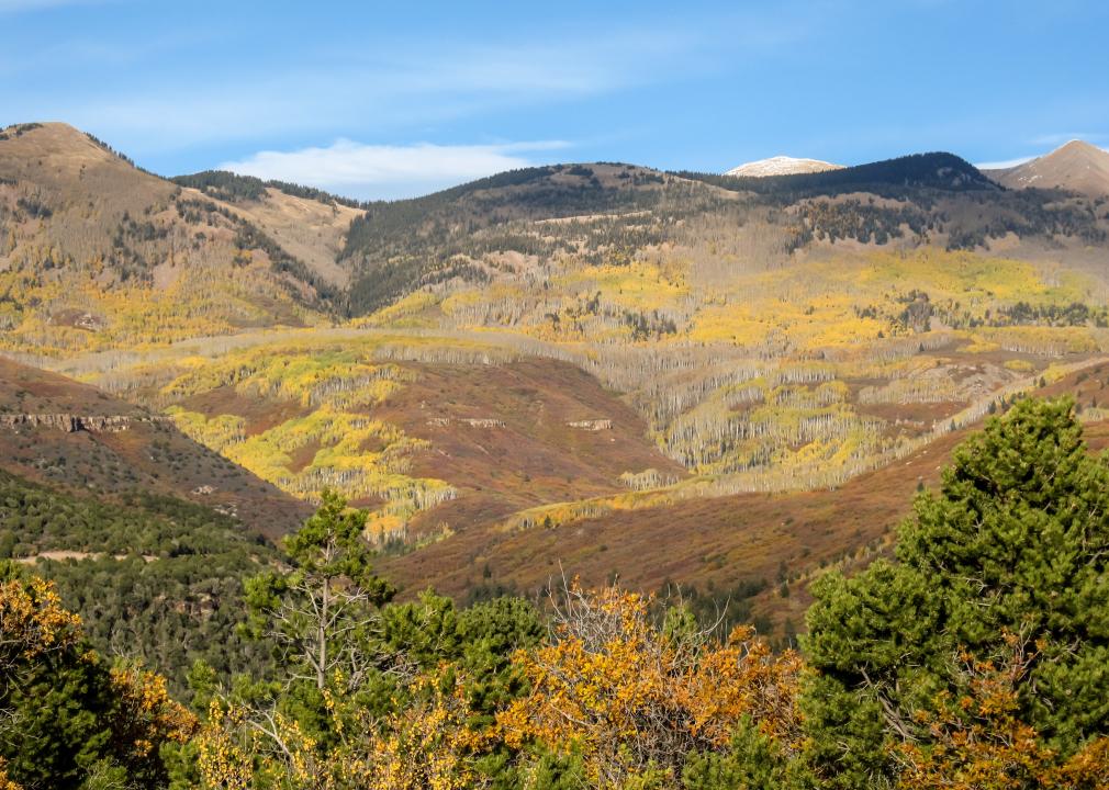 The slopes of the La Sal Mountains.