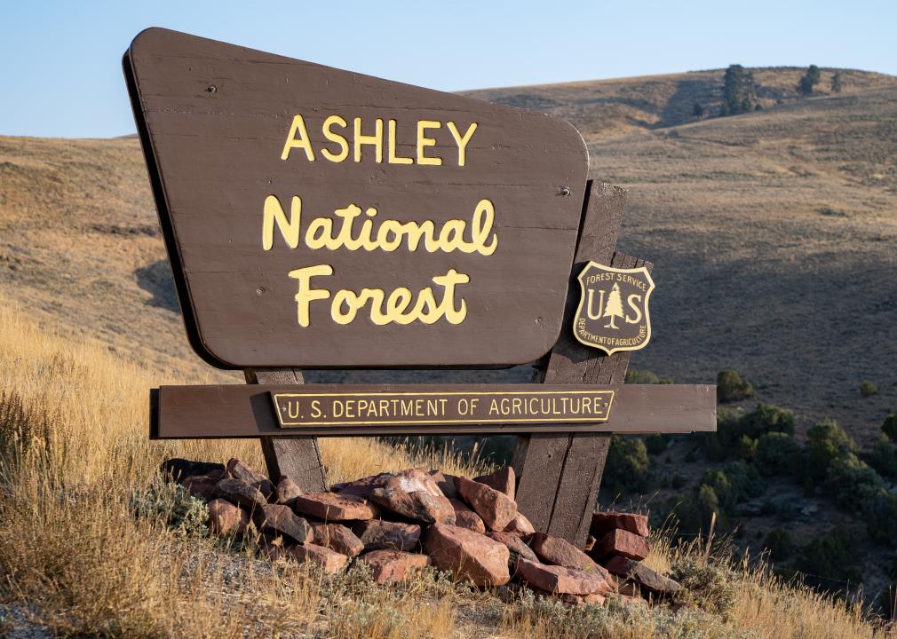 Sign for the Ashley National Forest.