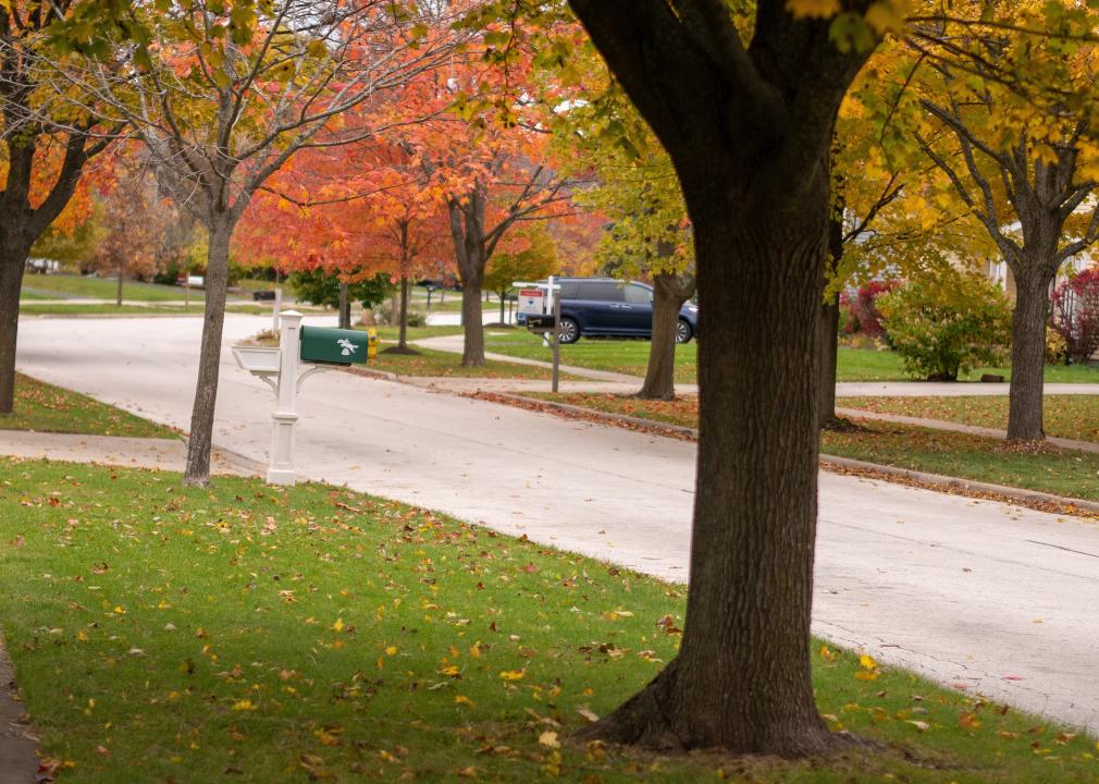Fall colored trees on a suburban neighborhood street.