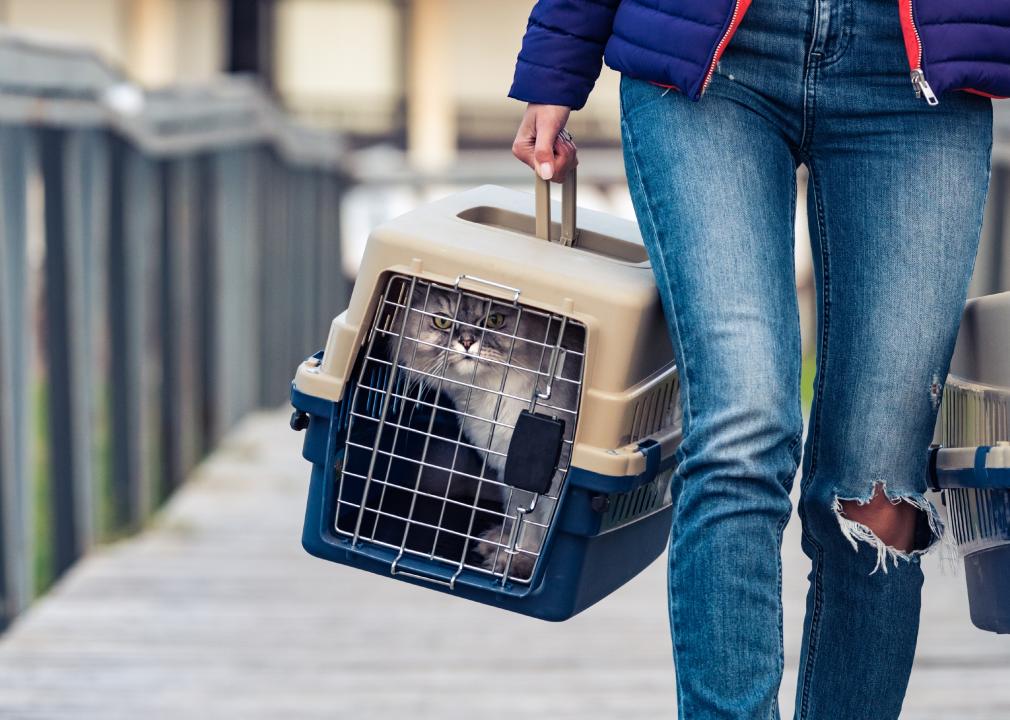Cat Carrier