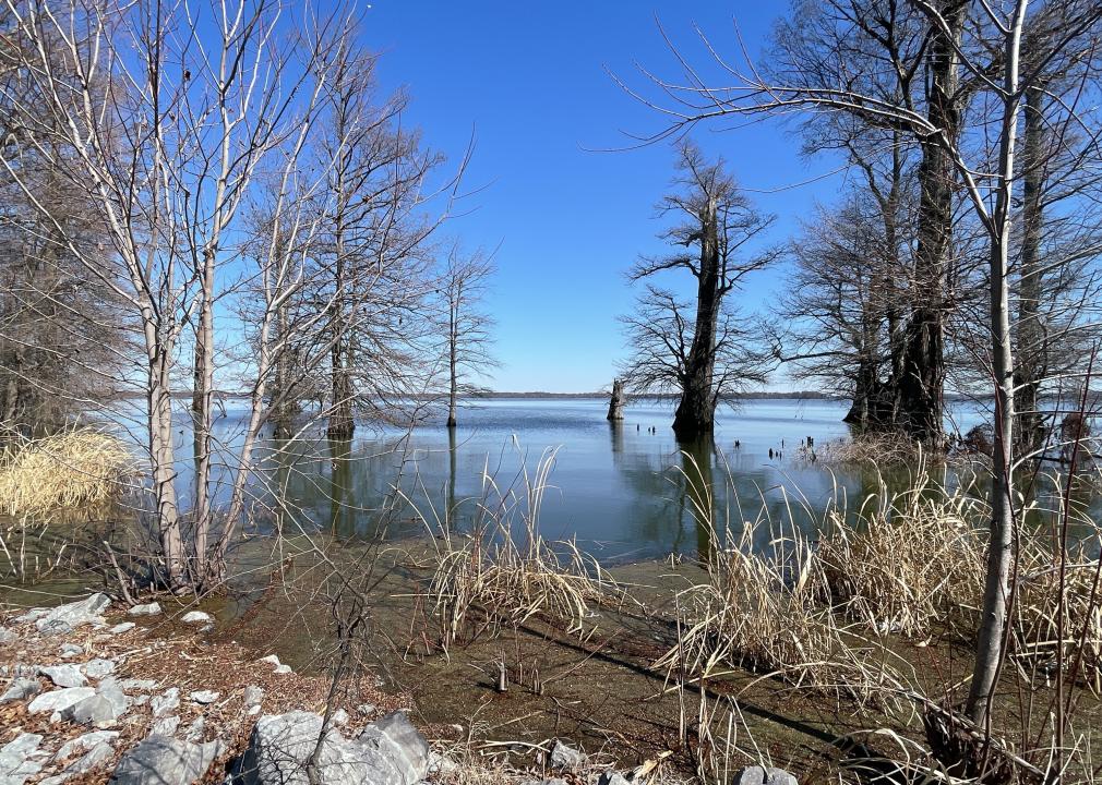 Reelfoot Lake near Tiptonville.