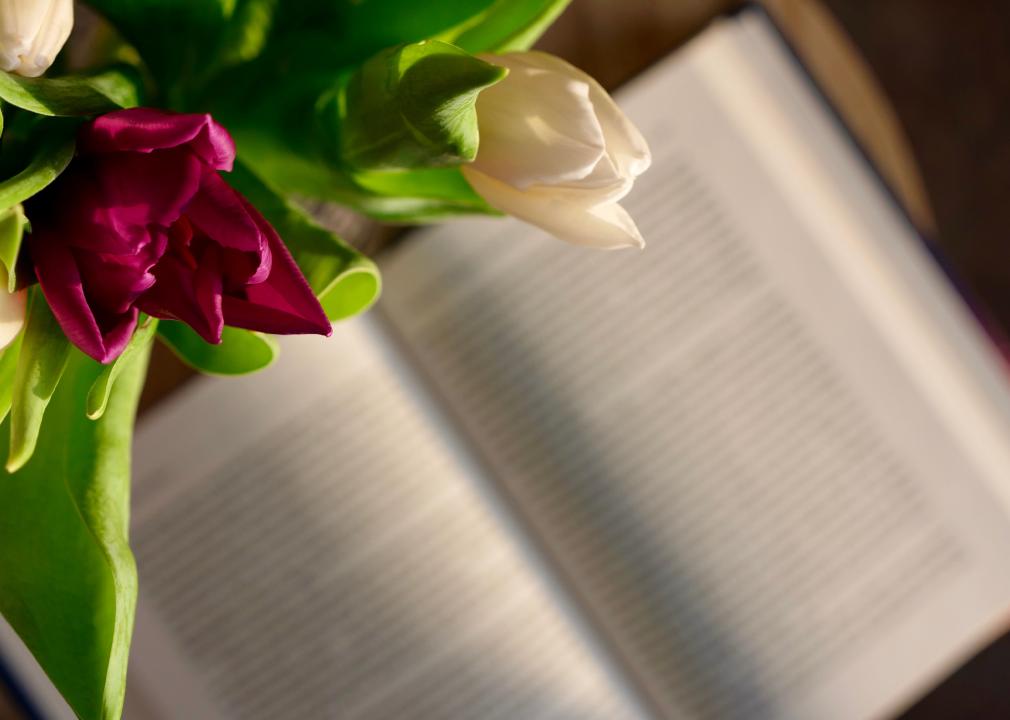 Spring flowers seen with a book in the background.