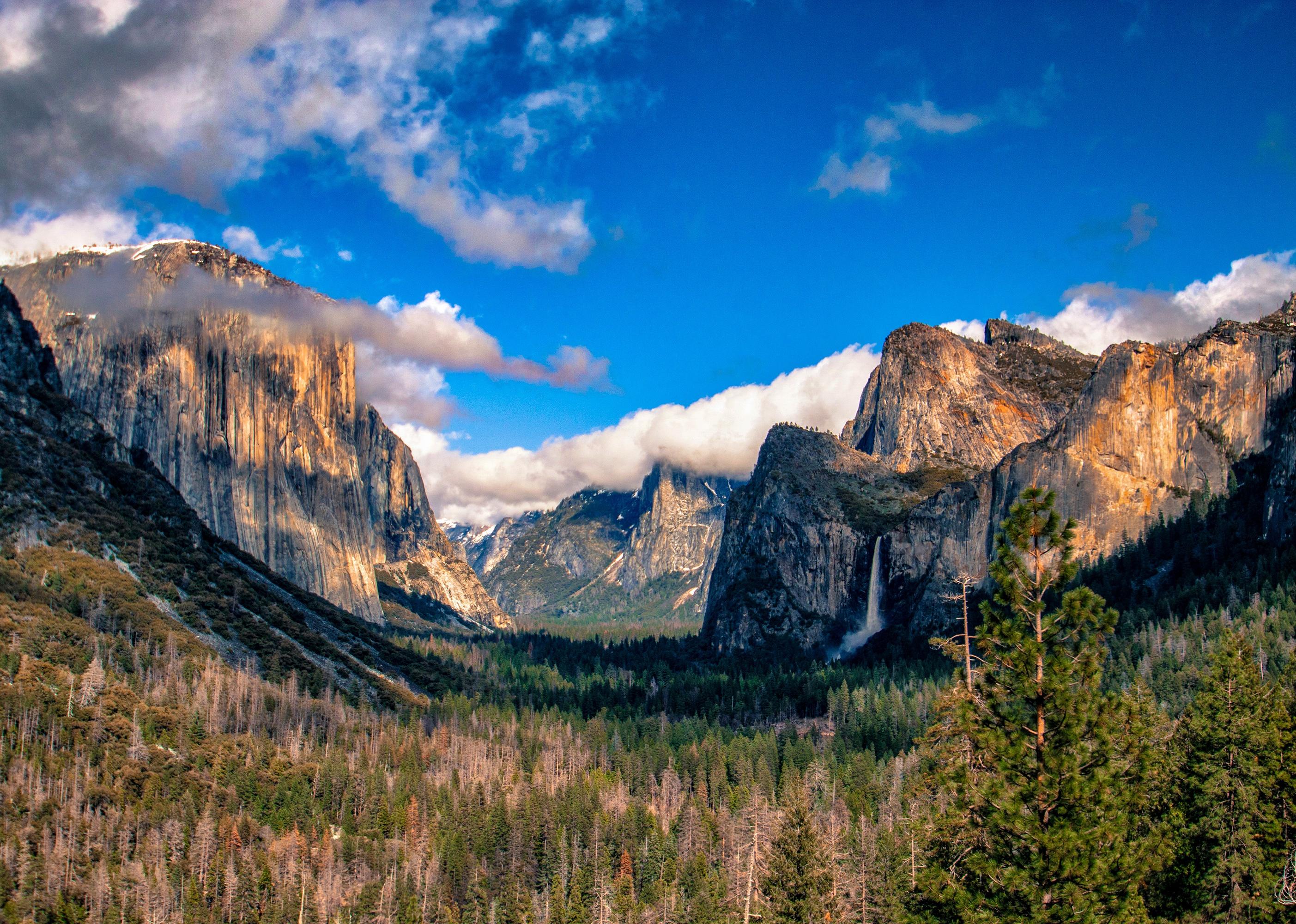 Wide view of Yosemite National Park valley.