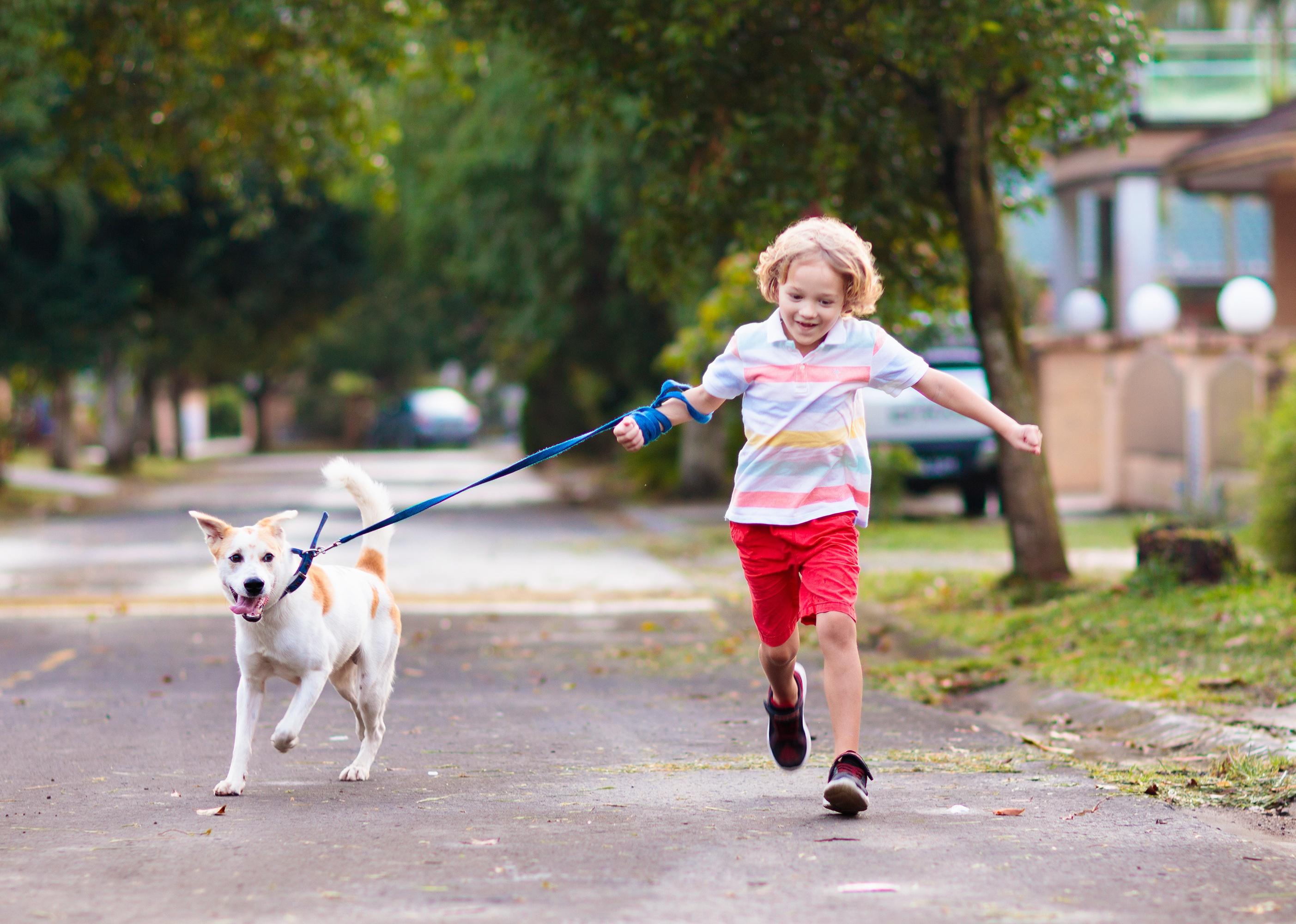 Little boy running with his dog on a leash.