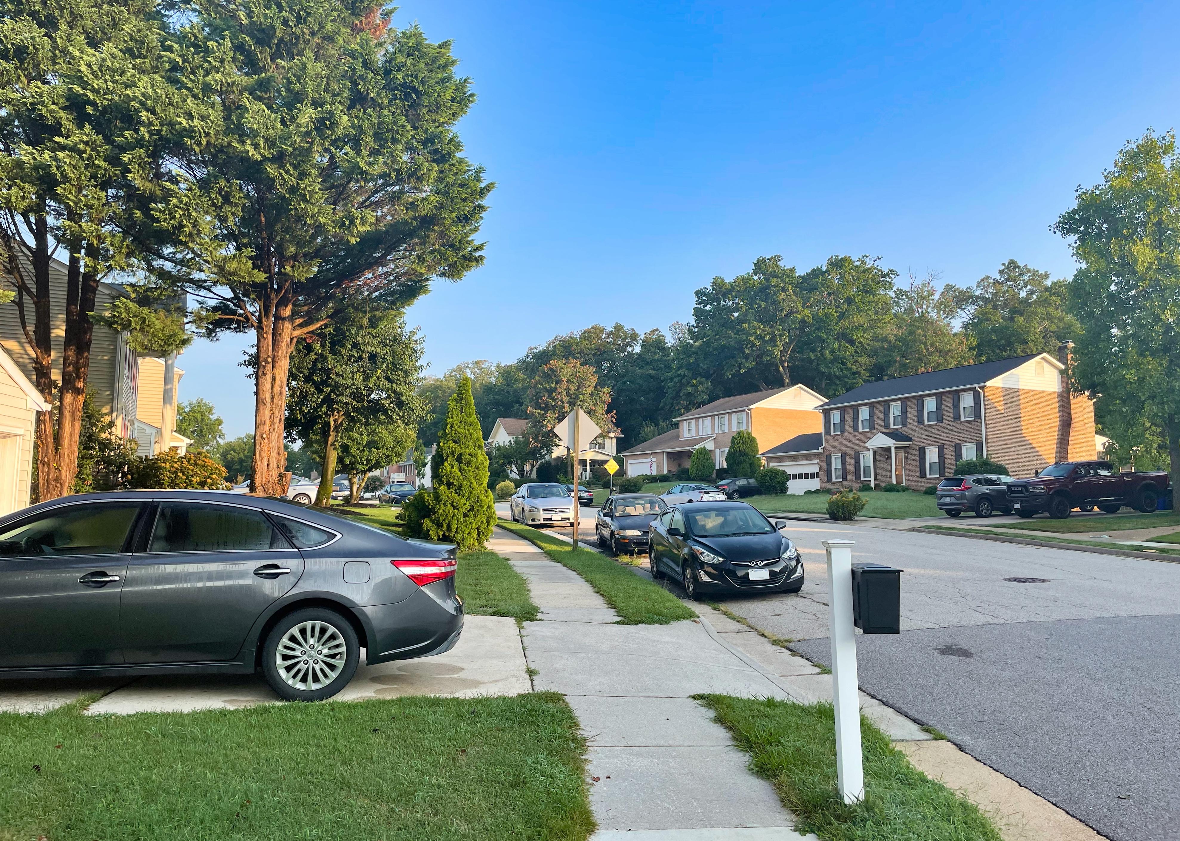 Morning Sun in a Suburban Virginia Neighborhood.