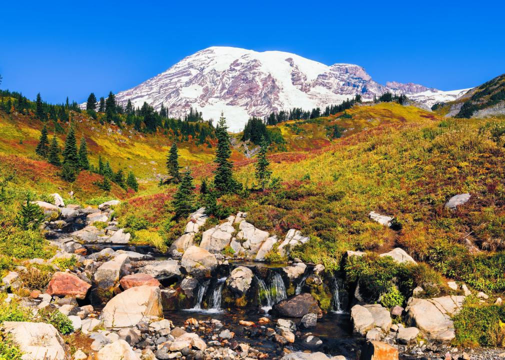 Edith Creek in Mount Rainier National Park.