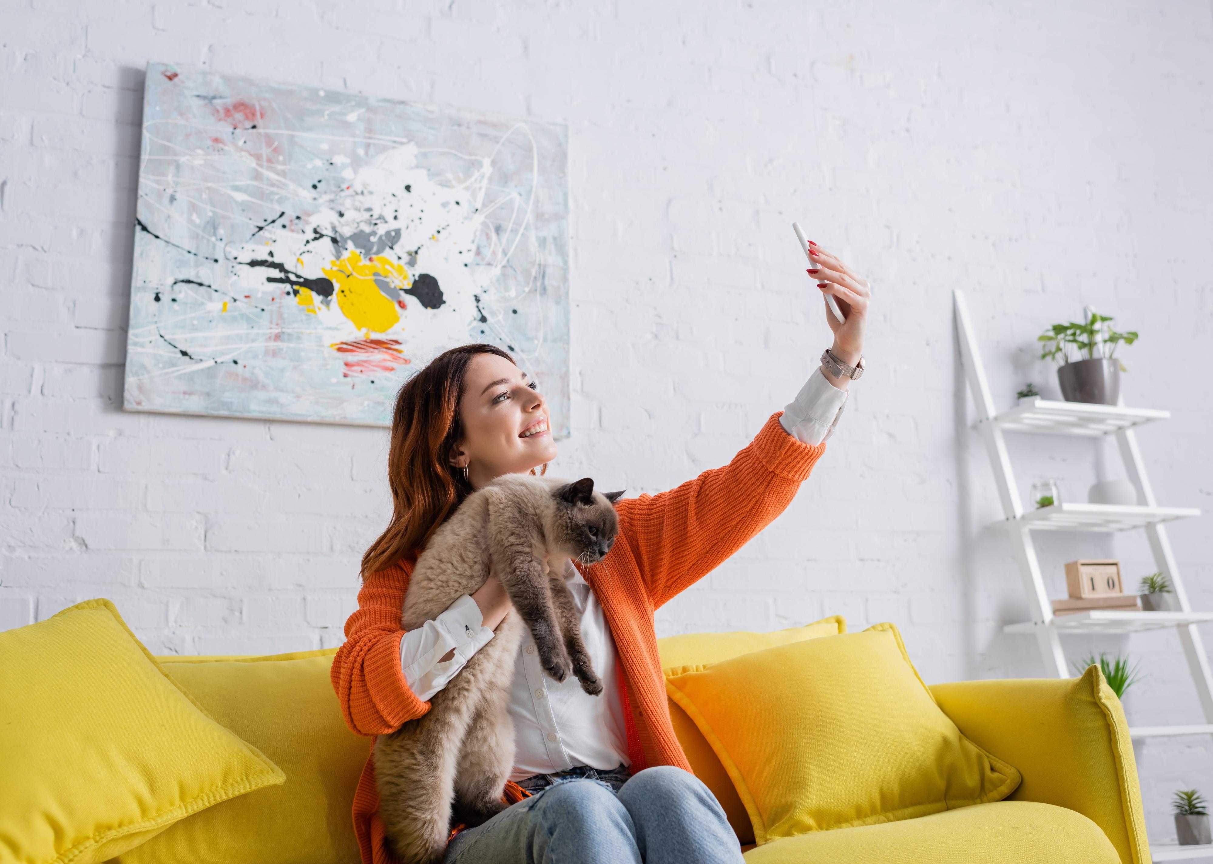 Woman taking selfie with cat while sitting on sofa