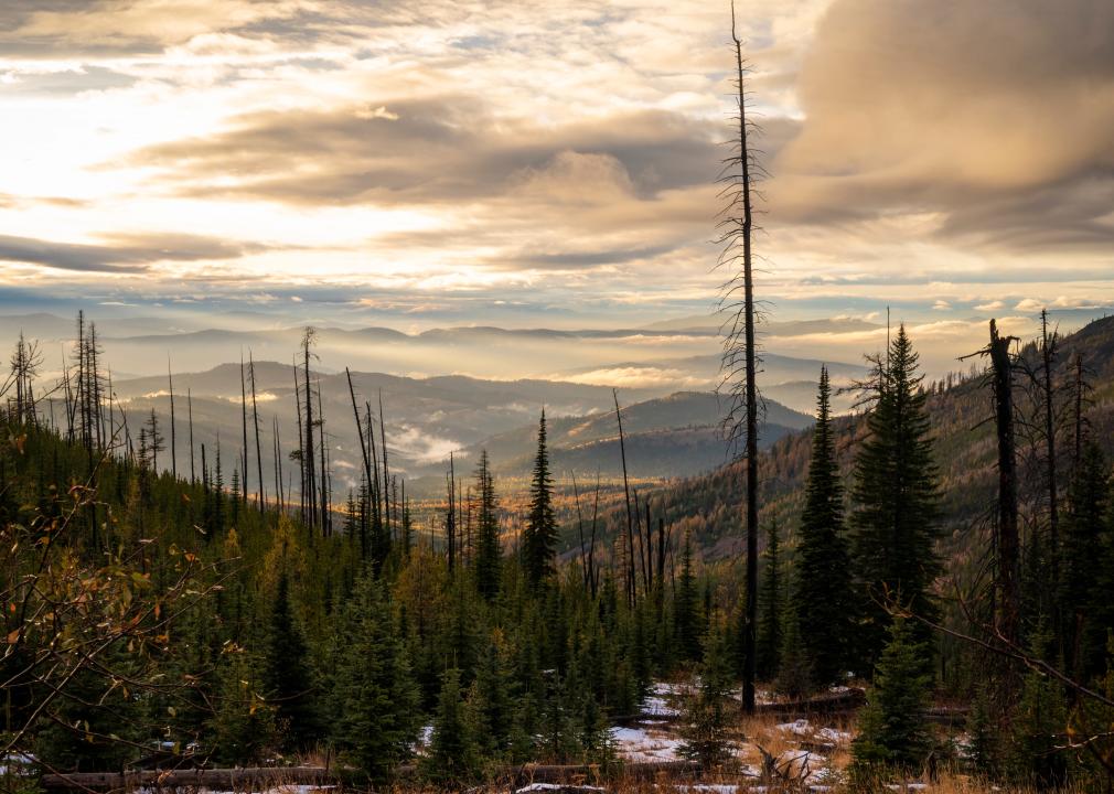 Sunset Over the Colville National Forest.