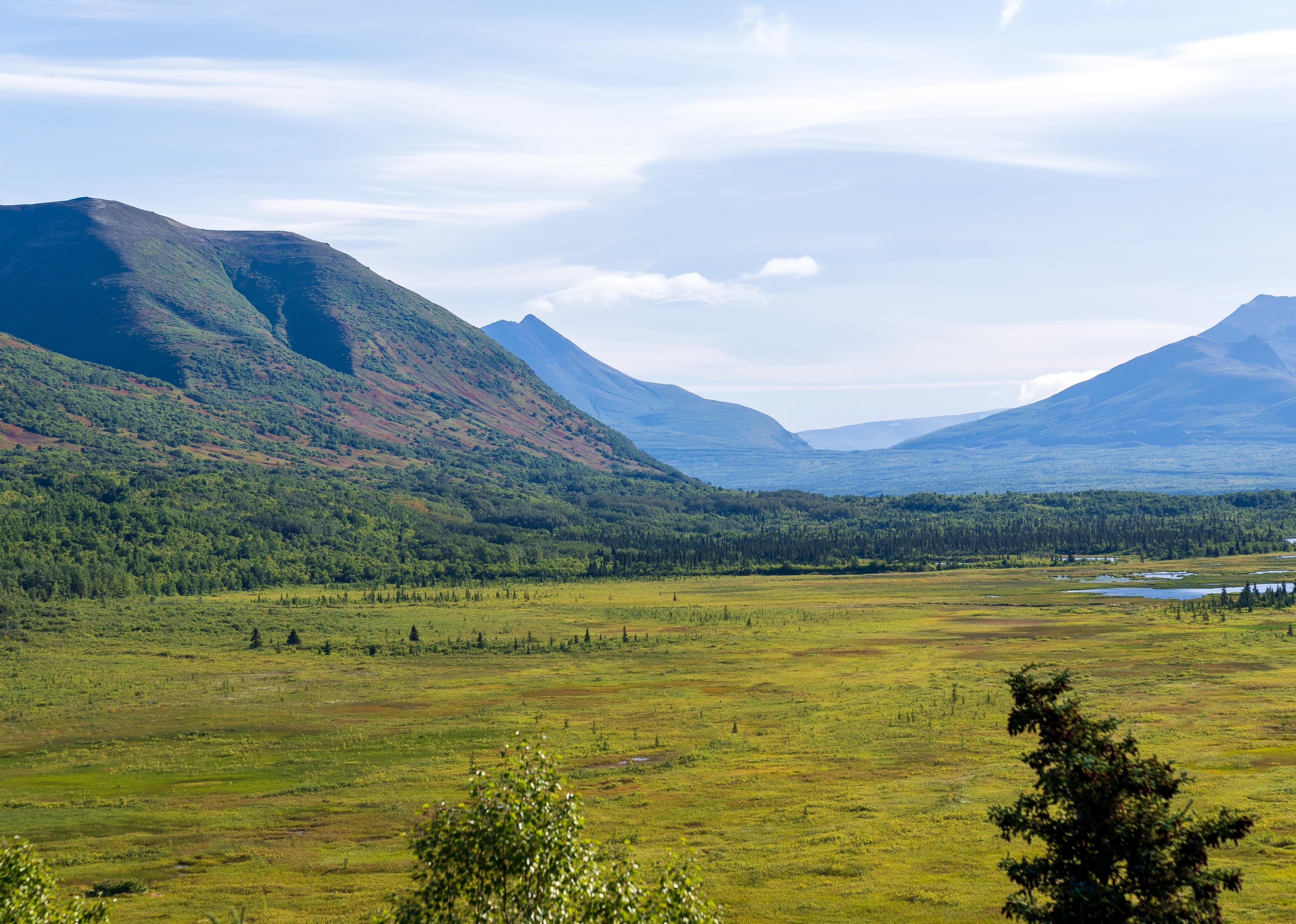 A natural view of the vast landscape in the Katmai National Park in Alaska.