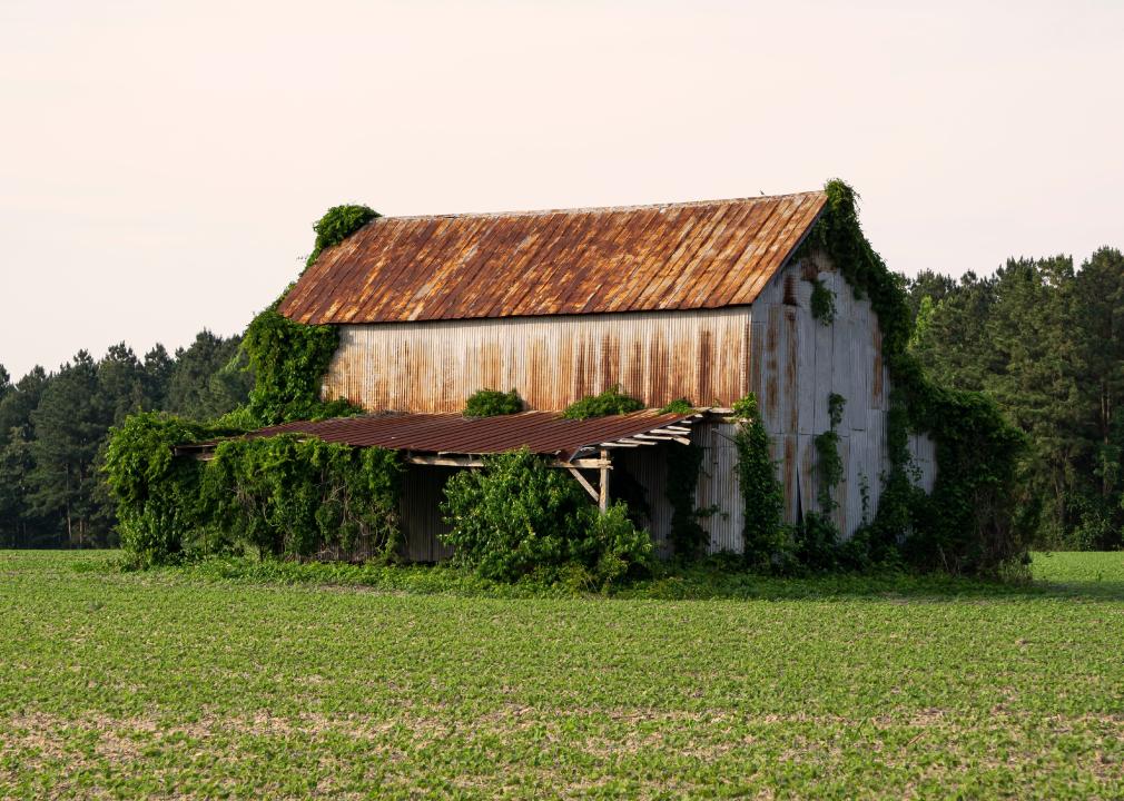Old barn in rural Kinston, North Carolina.