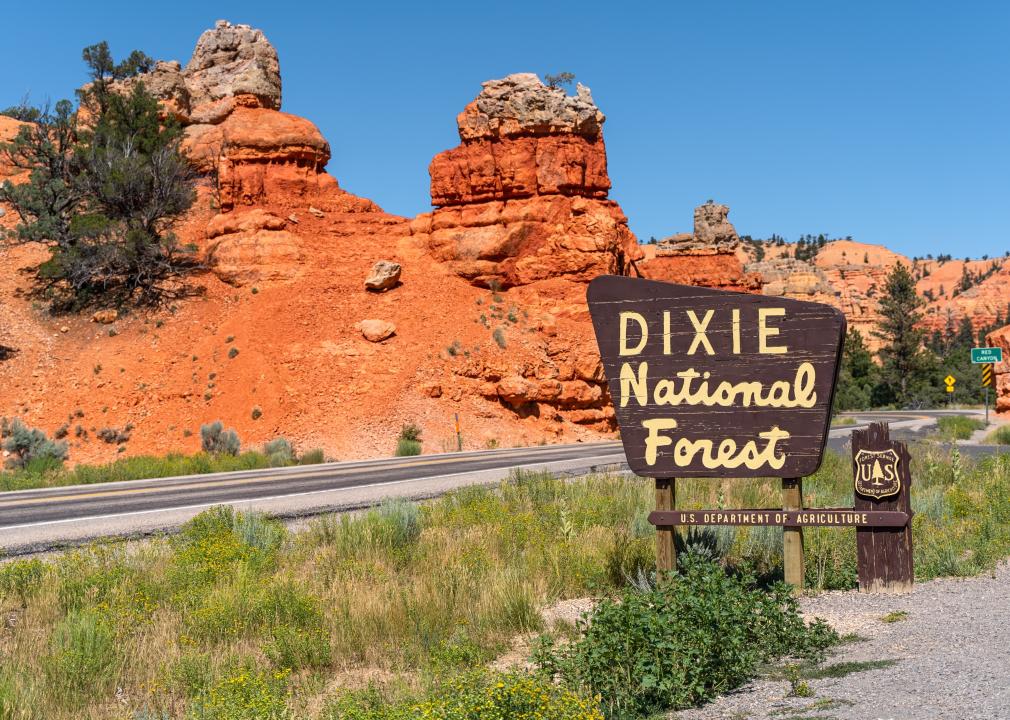 Dixie National Forest sign on UT-12 highway.