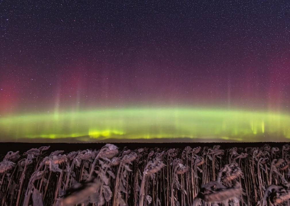 Northern lights over a North Dakota field.