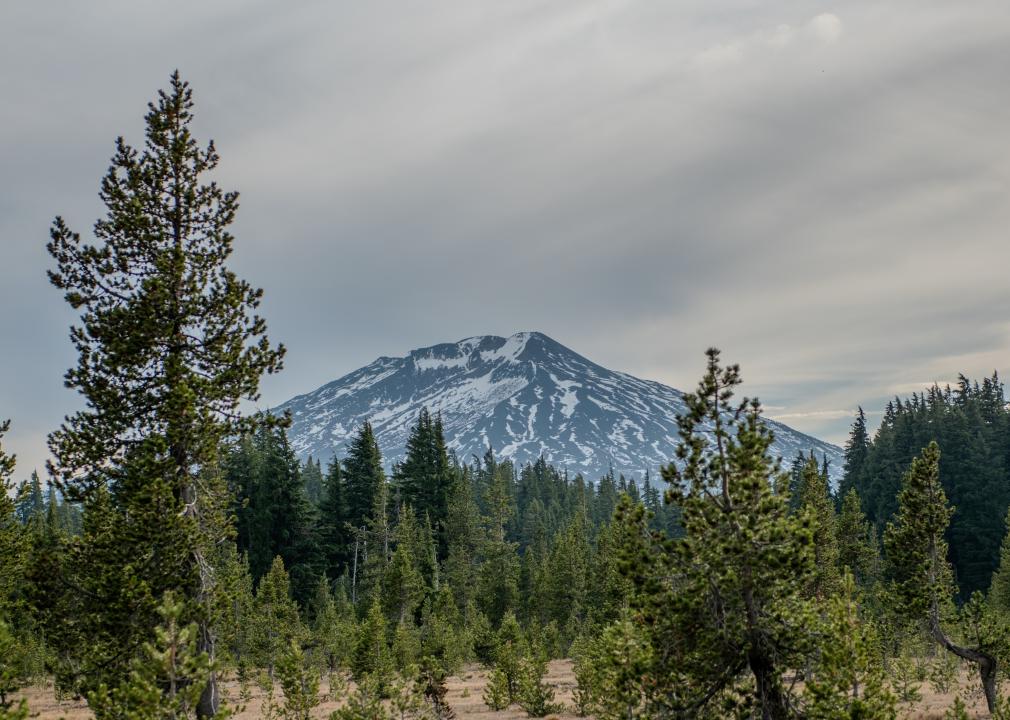 Mt. Bachelor in the Deschutes National Forest.