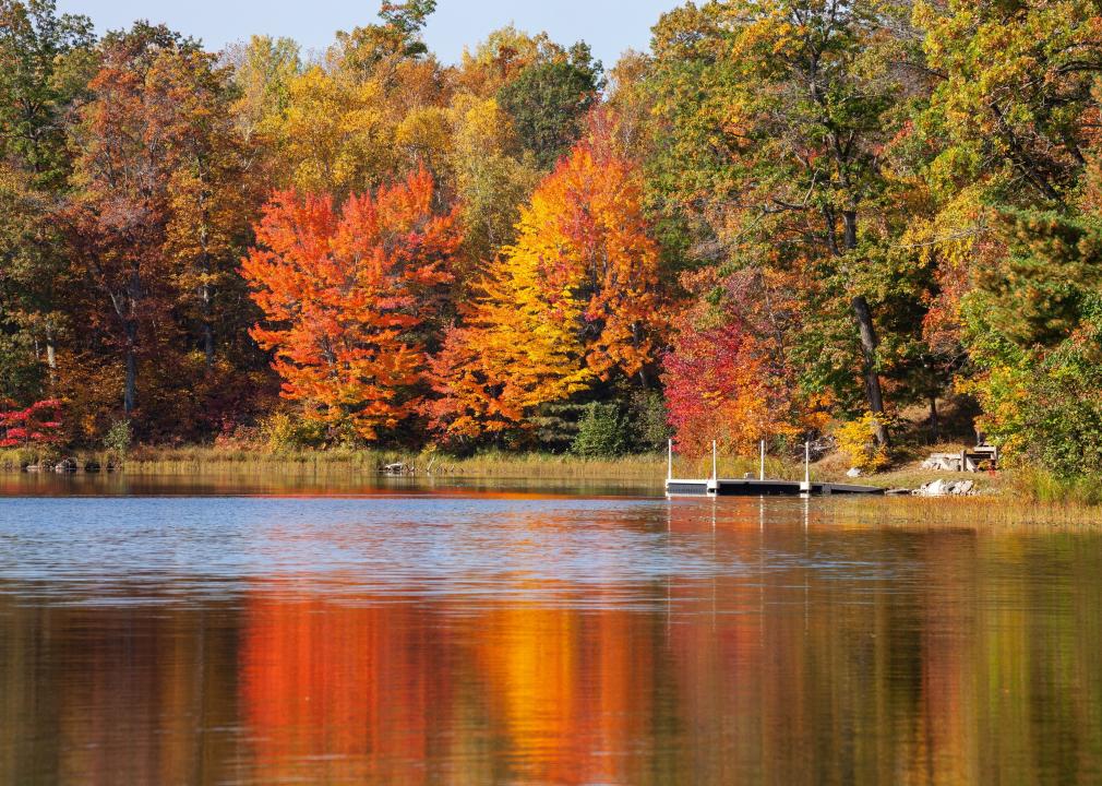 Trees in brilliant autumn color on a small lake.