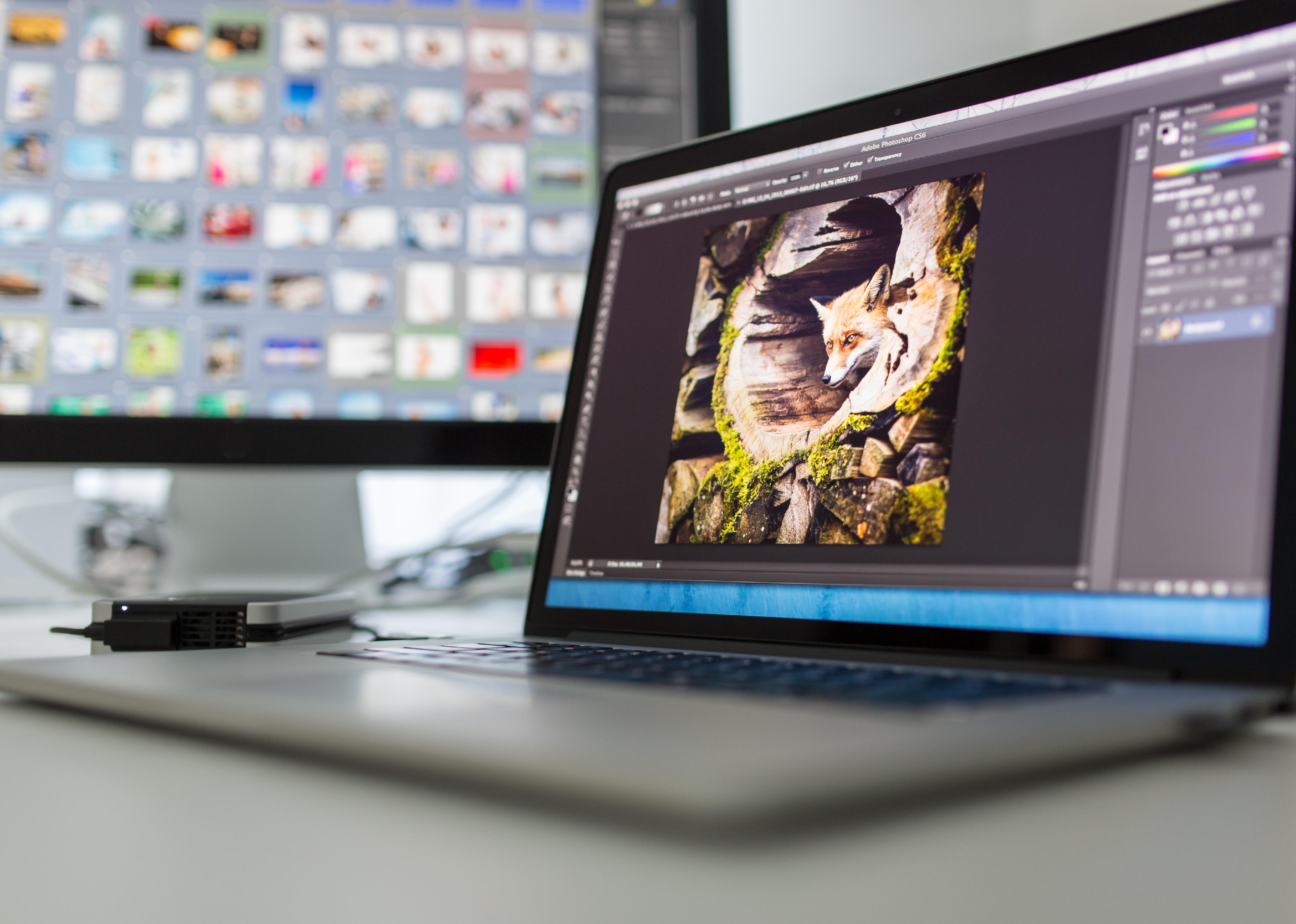 A computer with a photo of a fox open in Adobe Photoshop.  