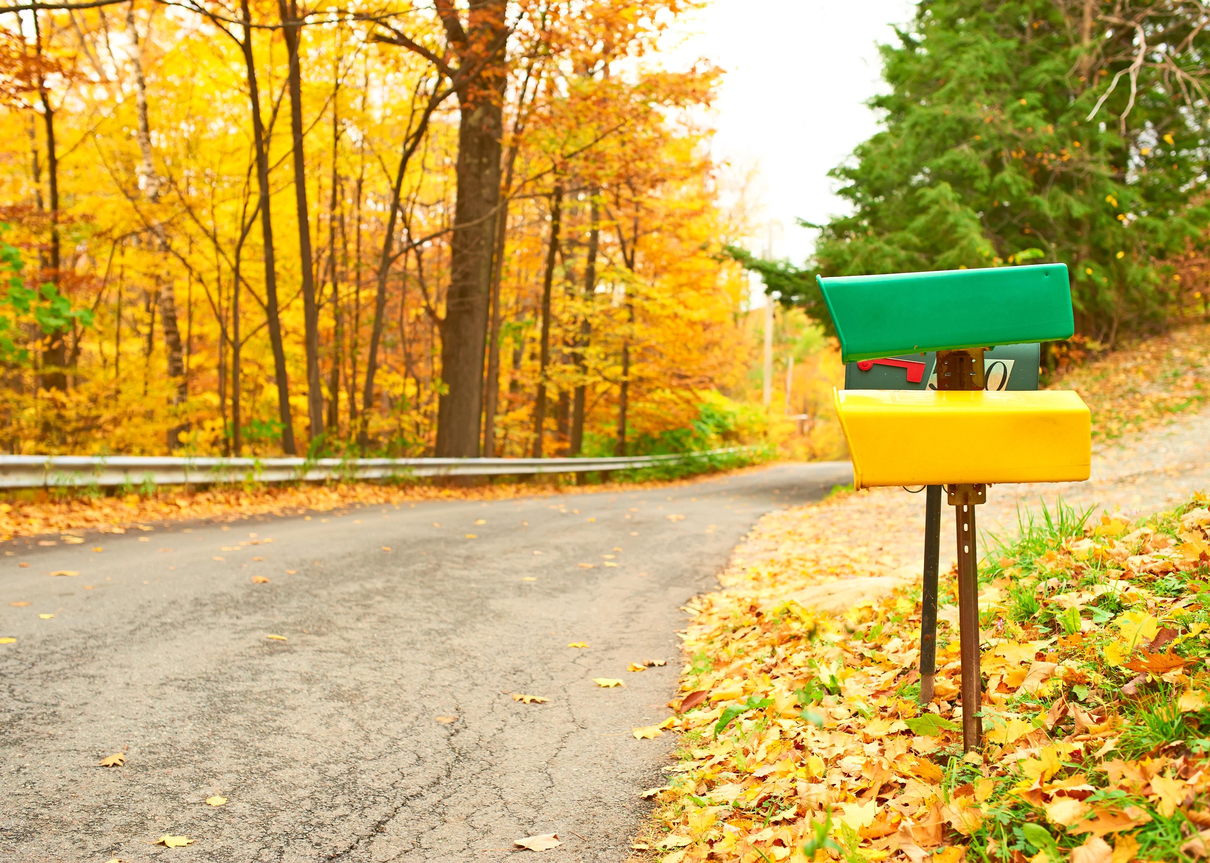 A yellow and a green mailbox and autumn leaves.