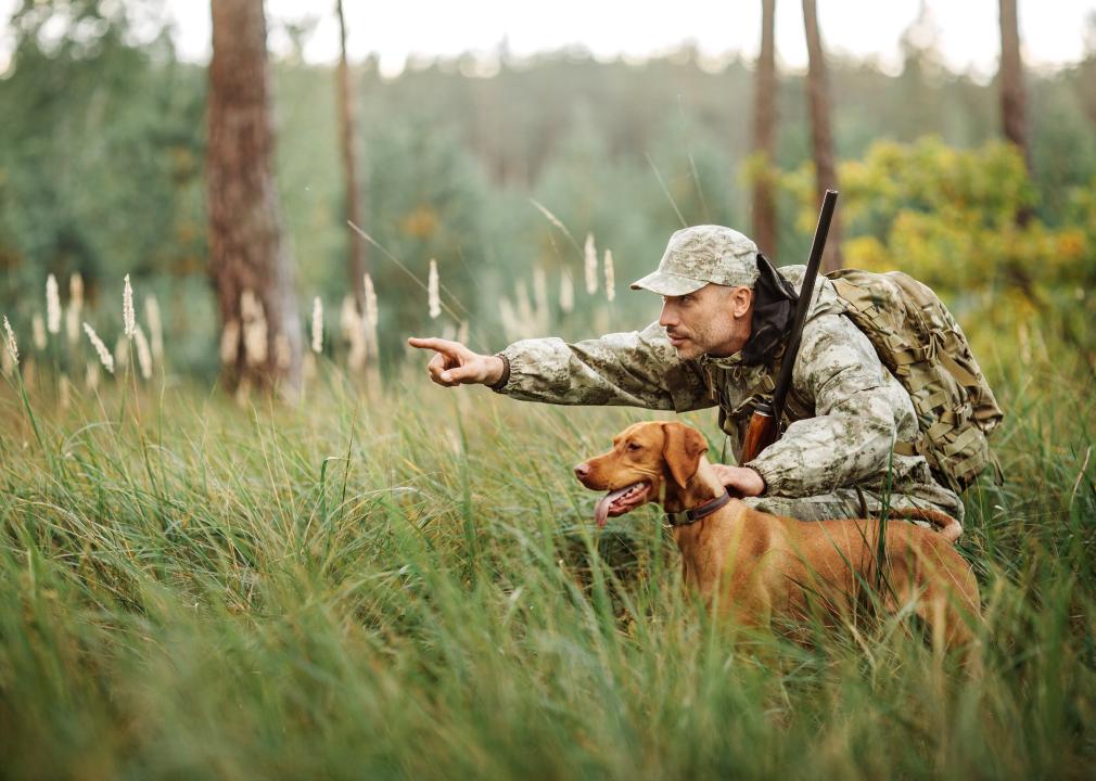 Hunter with rifle and dog in forest.