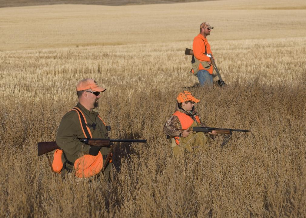 A group of pheasant hunters.