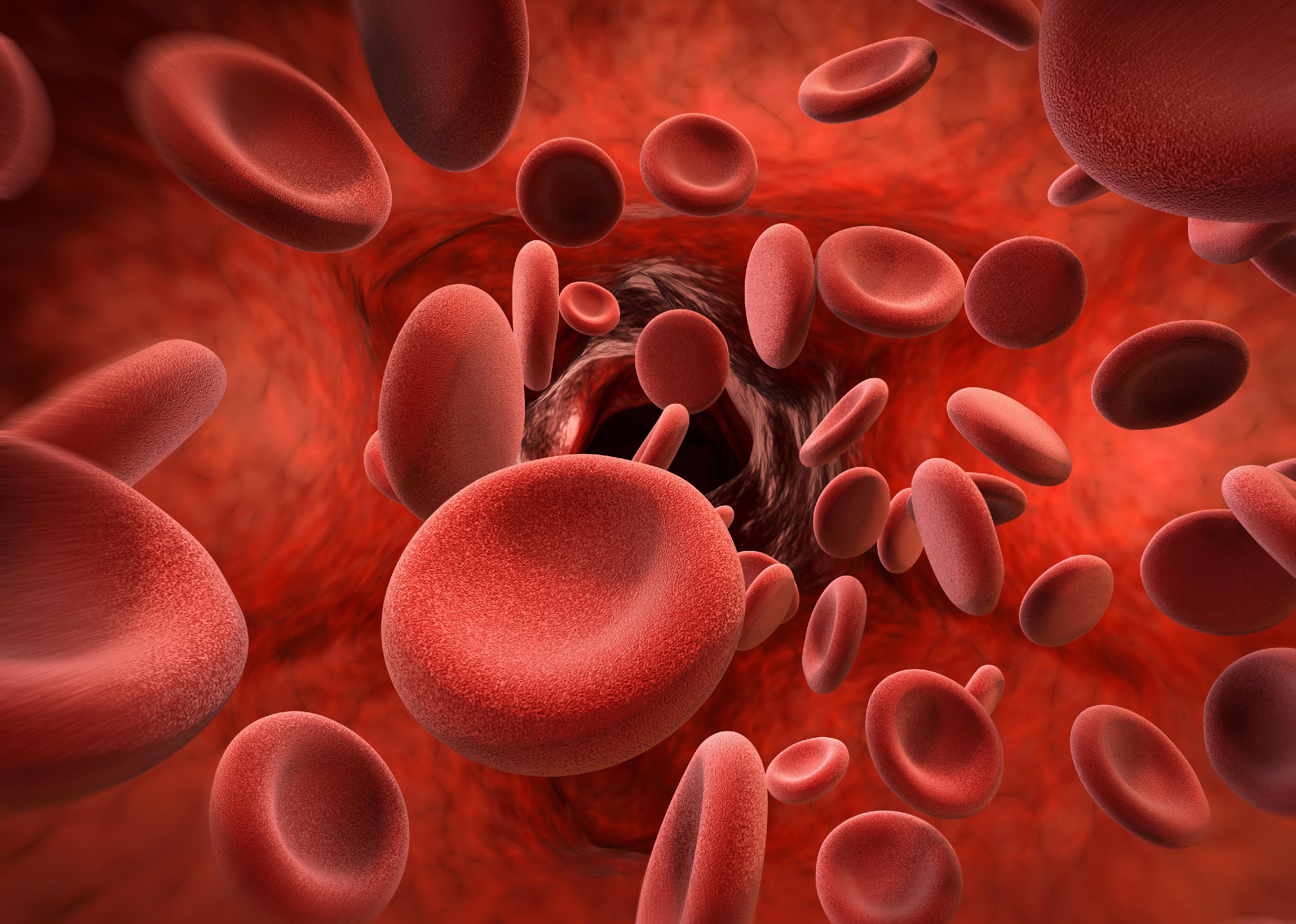 3D Rendering of red blood cells in vein.