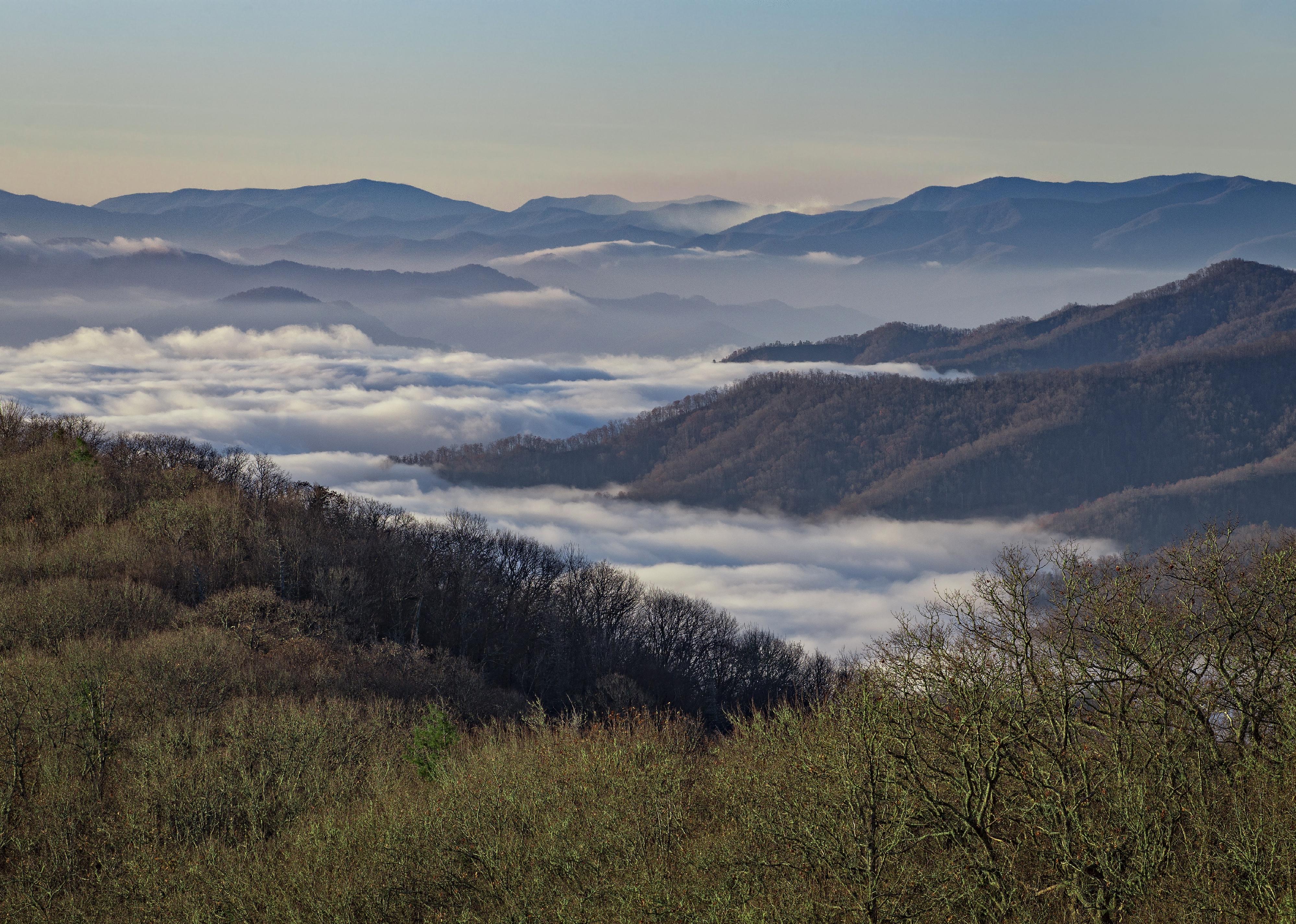 Early morning in the Great Smoky Mountains National Park.