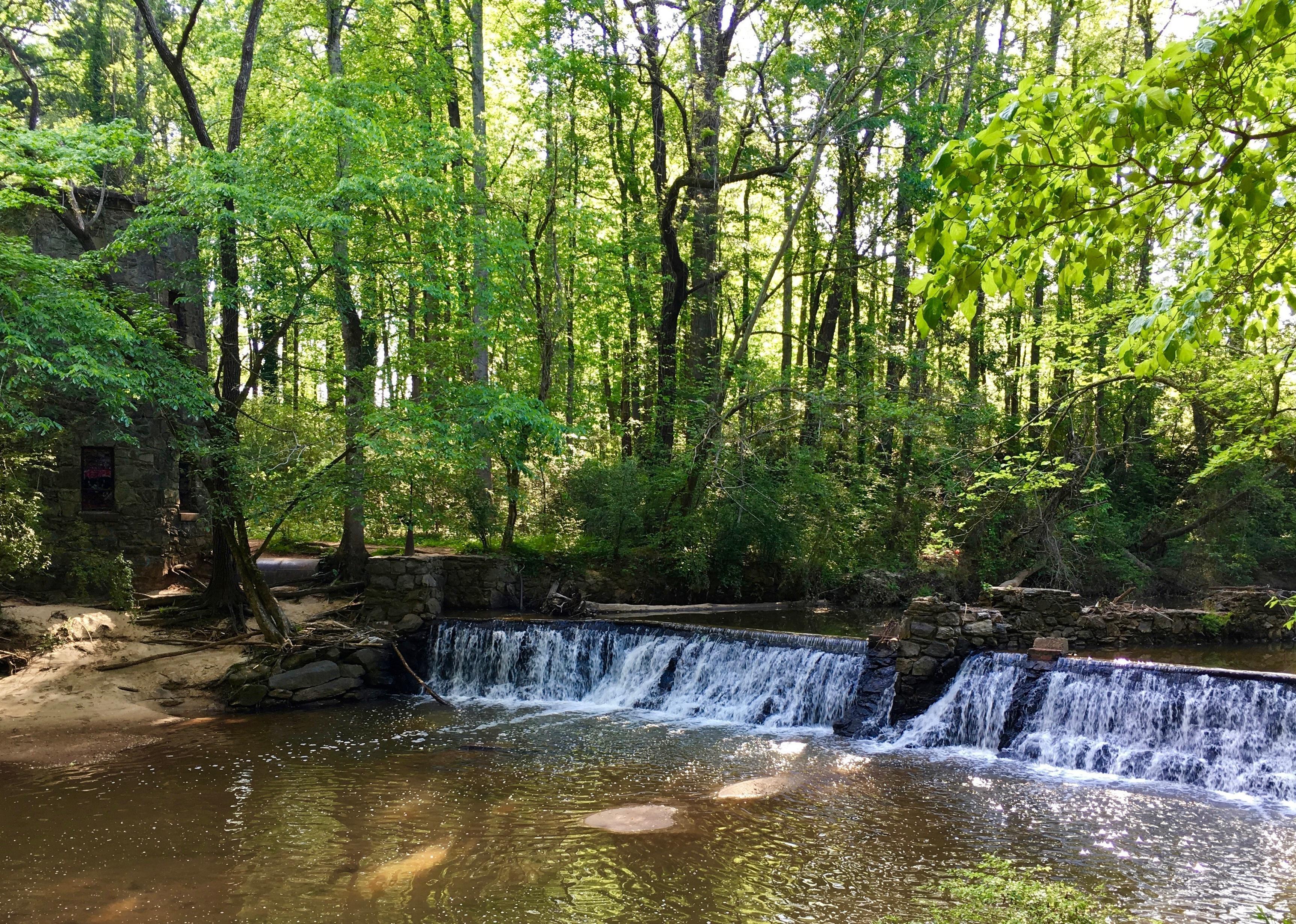 Waterfall in wooded area.