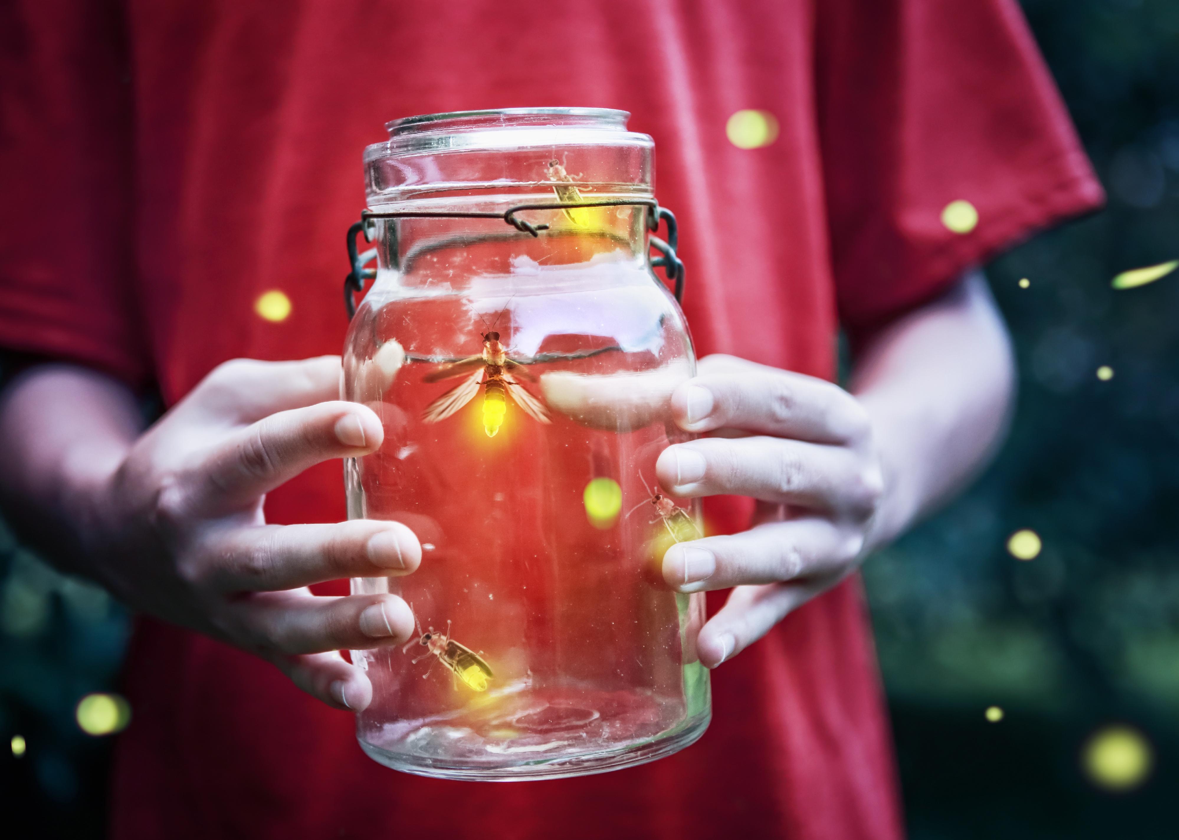 Fireflies in a jar held up by a boy.