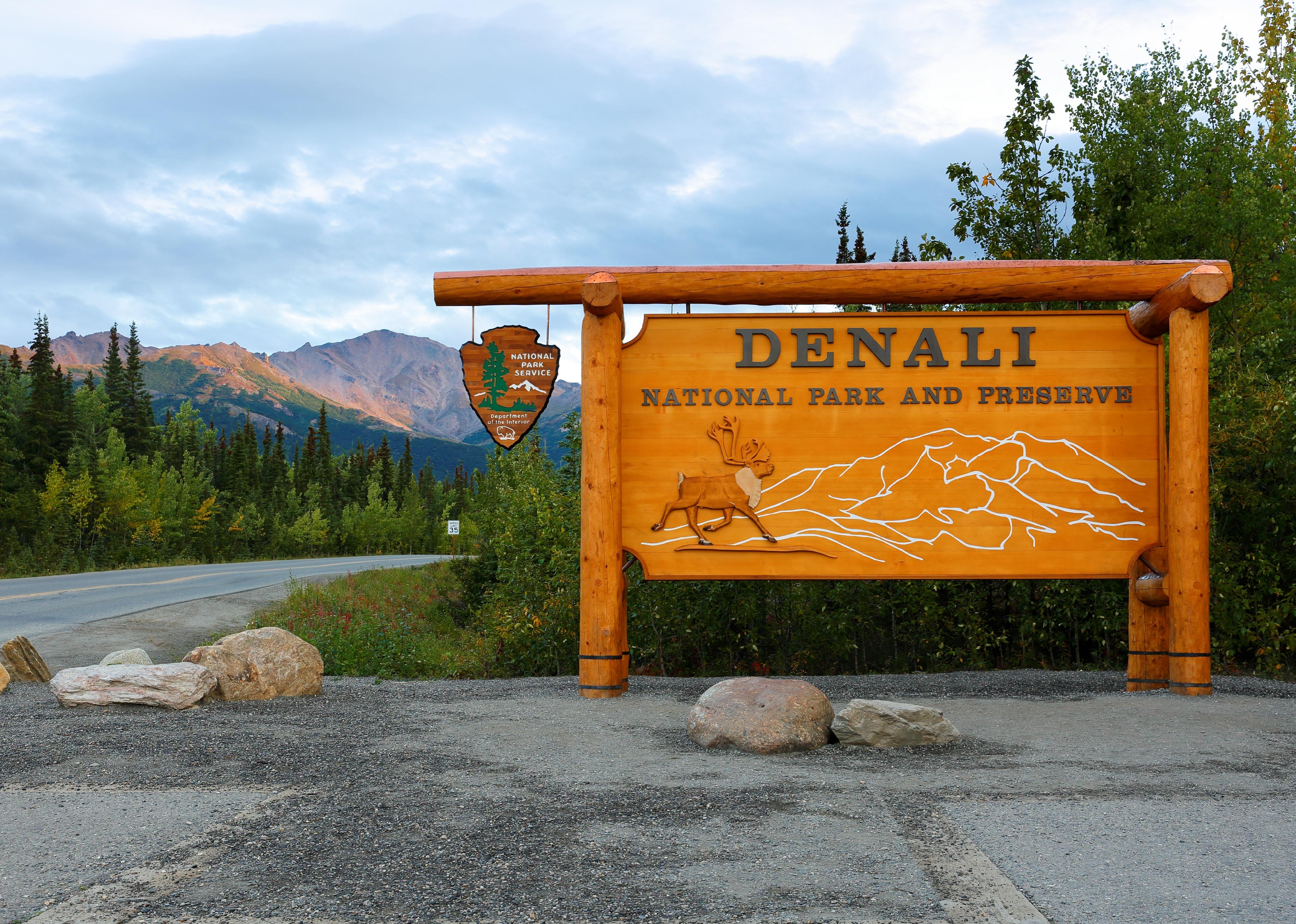 Denali National Park sign at entrance with tree and mountain.