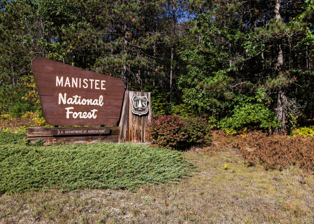 Huron-Manistee National Forests