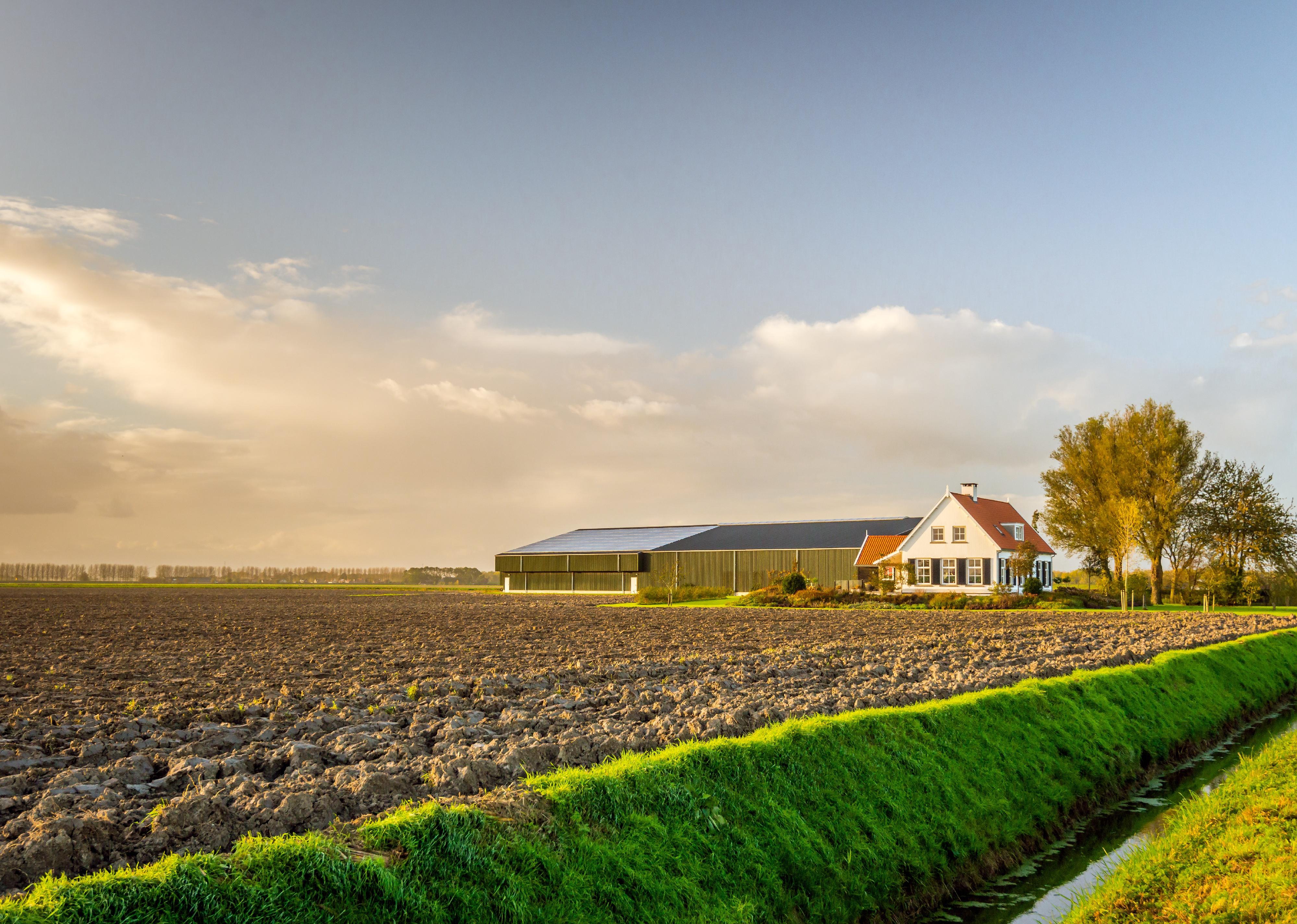 Farmhouse with barns in late afternoon light on a sunny day.