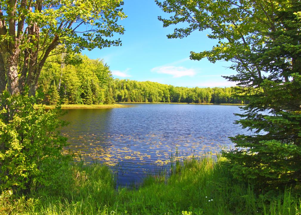 Forest trees frame a scenic view of Mabel Lake.