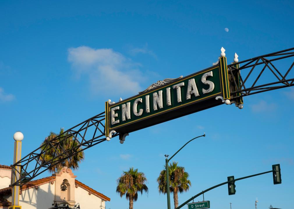 Encinitas sign and trees