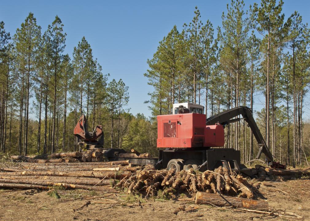 A trailer mounted log loader