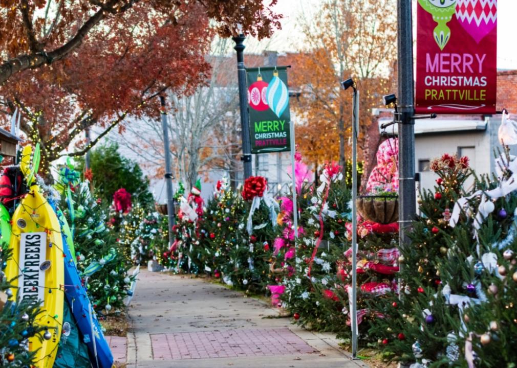 Decorated trees on the street.