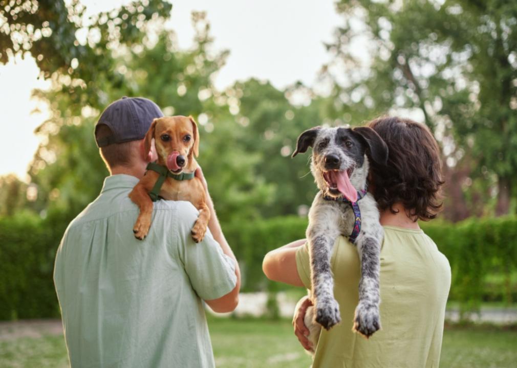 Two people carrying small dogs.