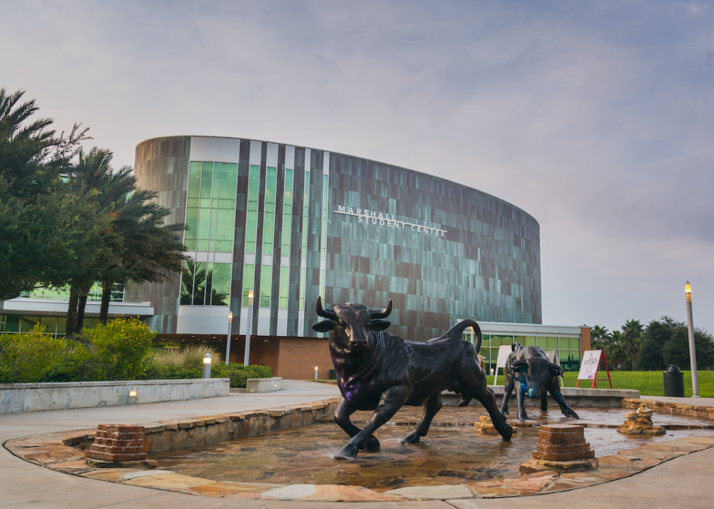University of South Florida campus building and bull
