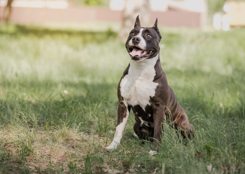 #4. Max