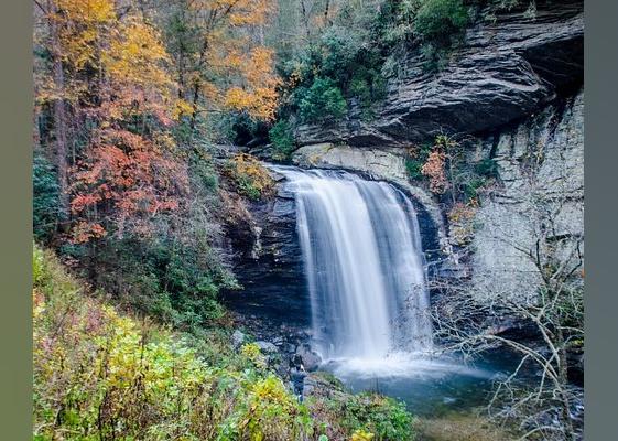 Highest-Rated Free Things To Do in North Carolina, According to Tripadvisor