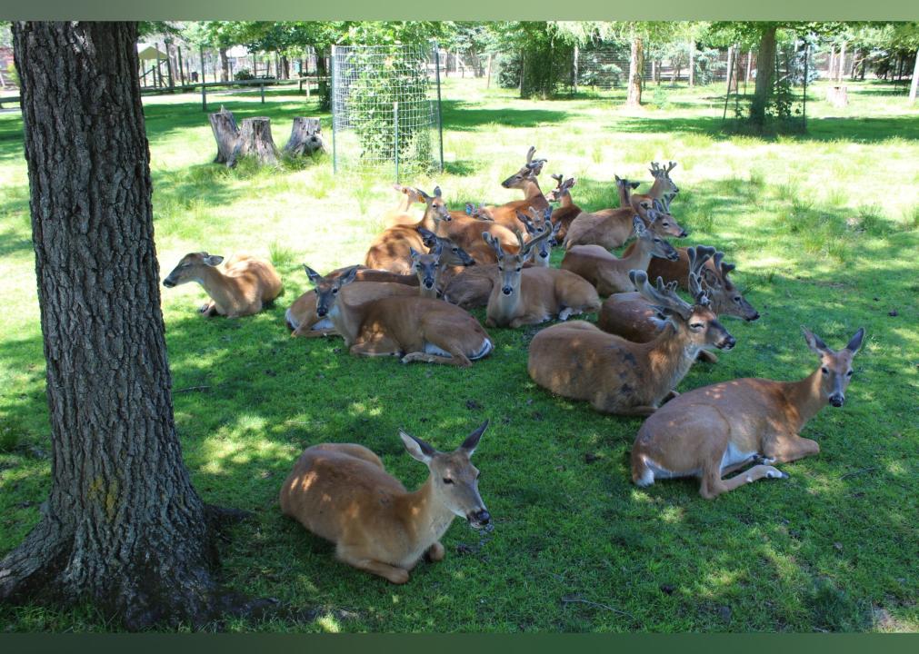 Highest-rated things to do in Wisconsin by visitors