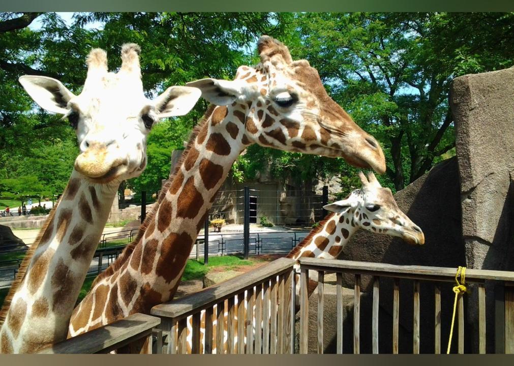 Highest-rated things to do in Wisconsin by visitors