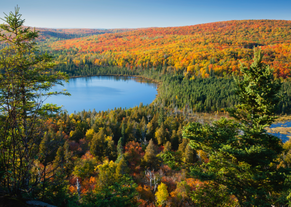 Aerial view of a lake and forest in the fall.