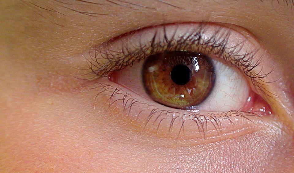 30 Popular Science Myths Debunked » eye 419646 960 720
