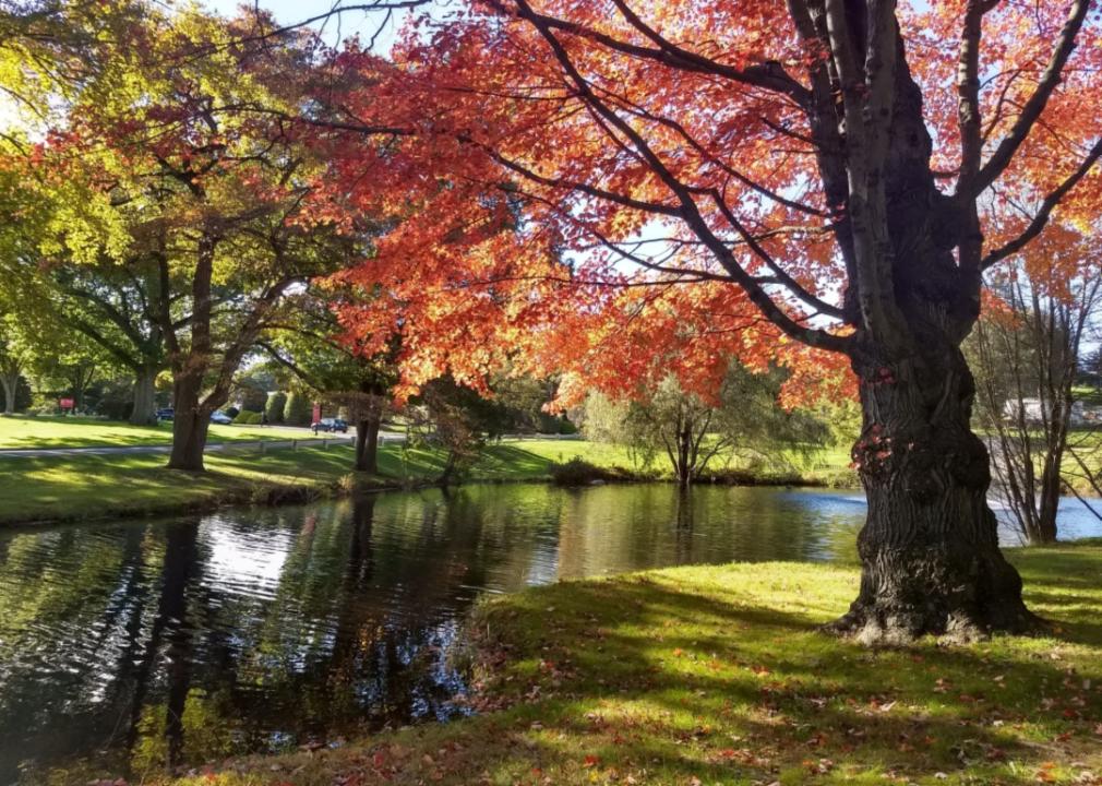 #37. Fairfield University A pond in front of Fairfield University in Fall.