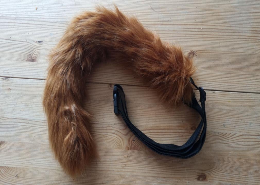 A furry fox tail.