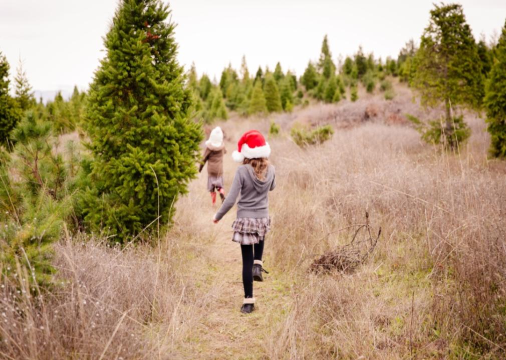 Girls walking in a Christmas tree field.