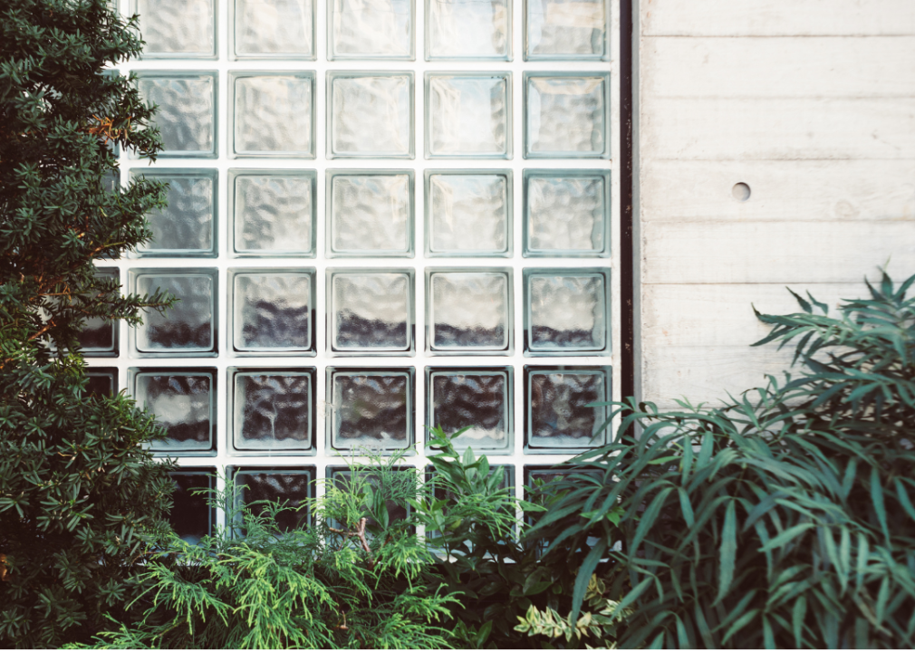 Glass block and concrete walls and plants.