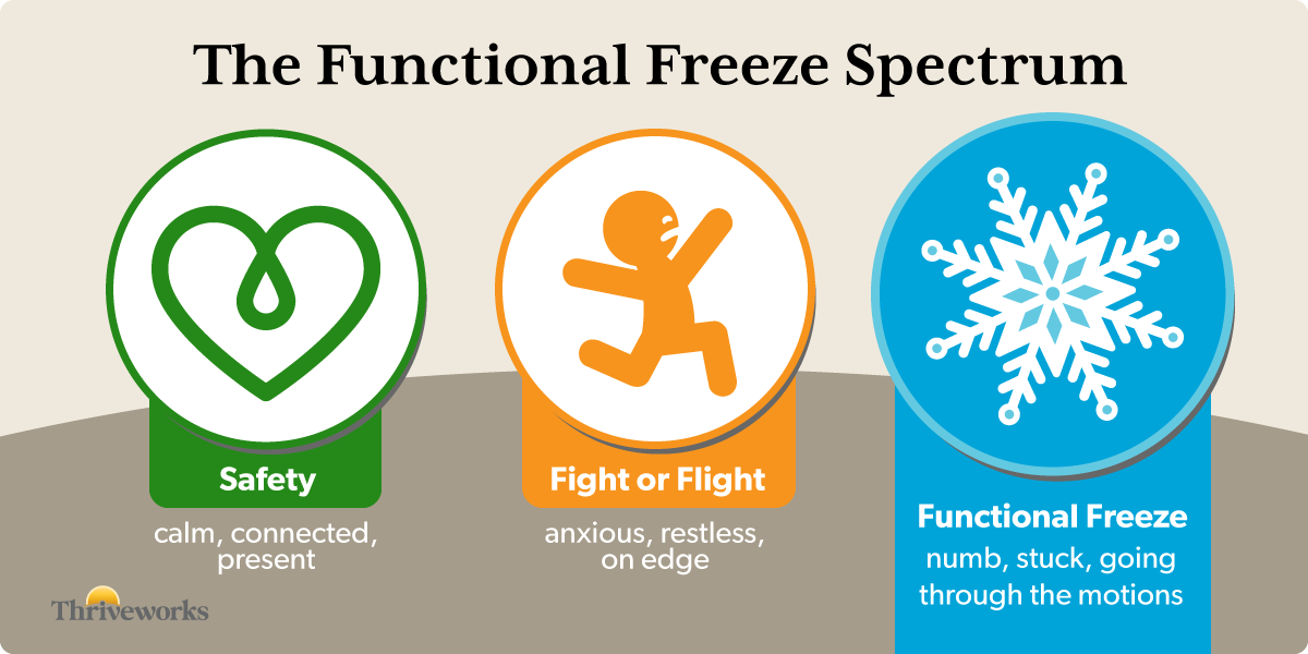 Infographic showing the functional freeze spectrum.