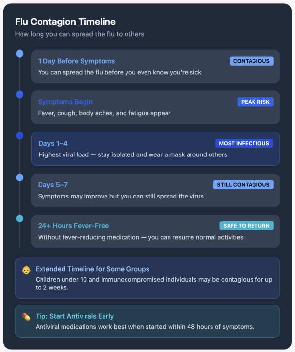 A graphic showing the timeline of a flu contagion.