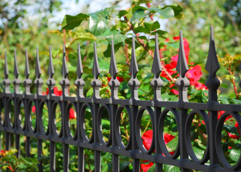 An iron fence.