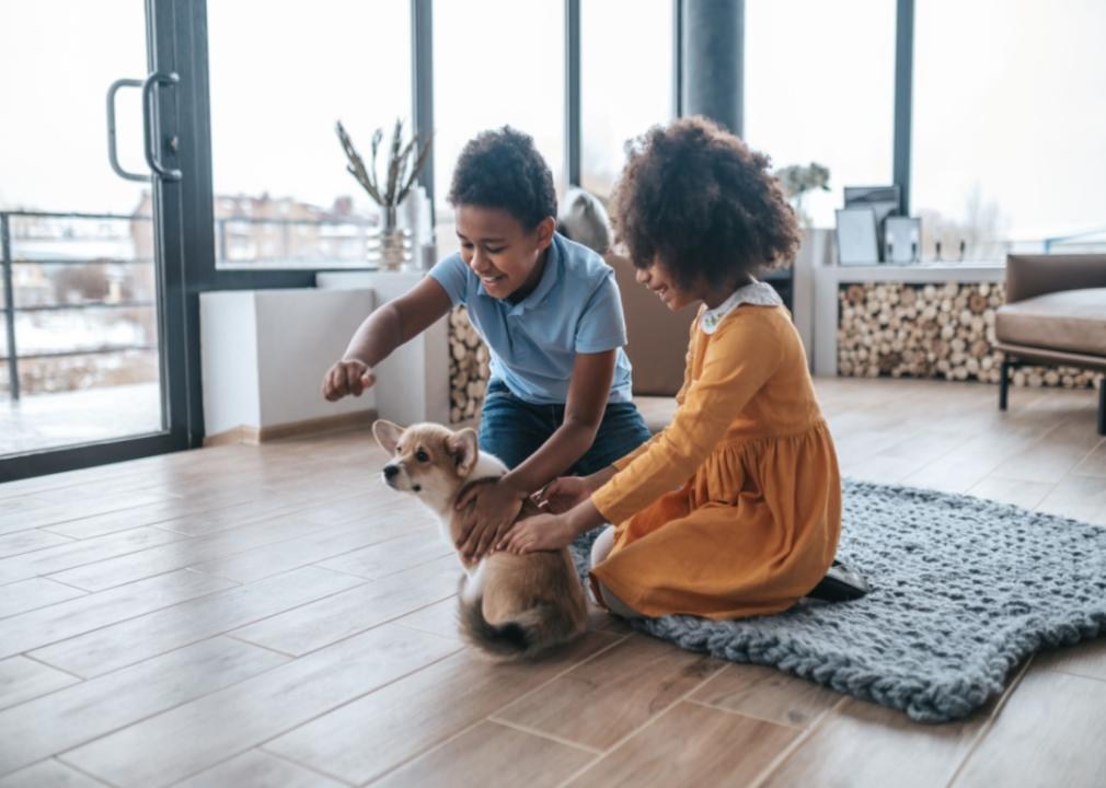 Two kids playing with a puppy.