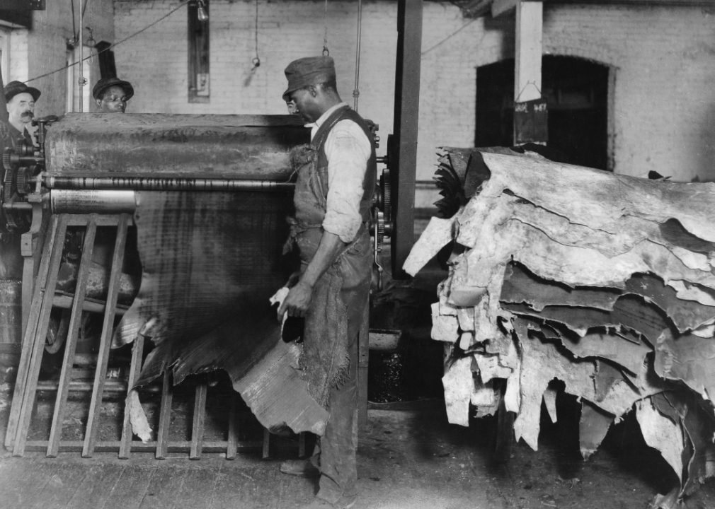 A man operating a wringing machine during the final process of tanning leather hides.